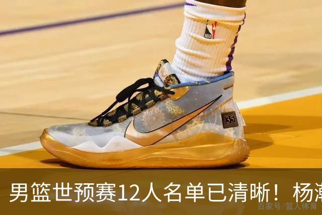男篮世预赛12人名单已清晰！杨瀚森张镇麟领头：赵继伟可能落选